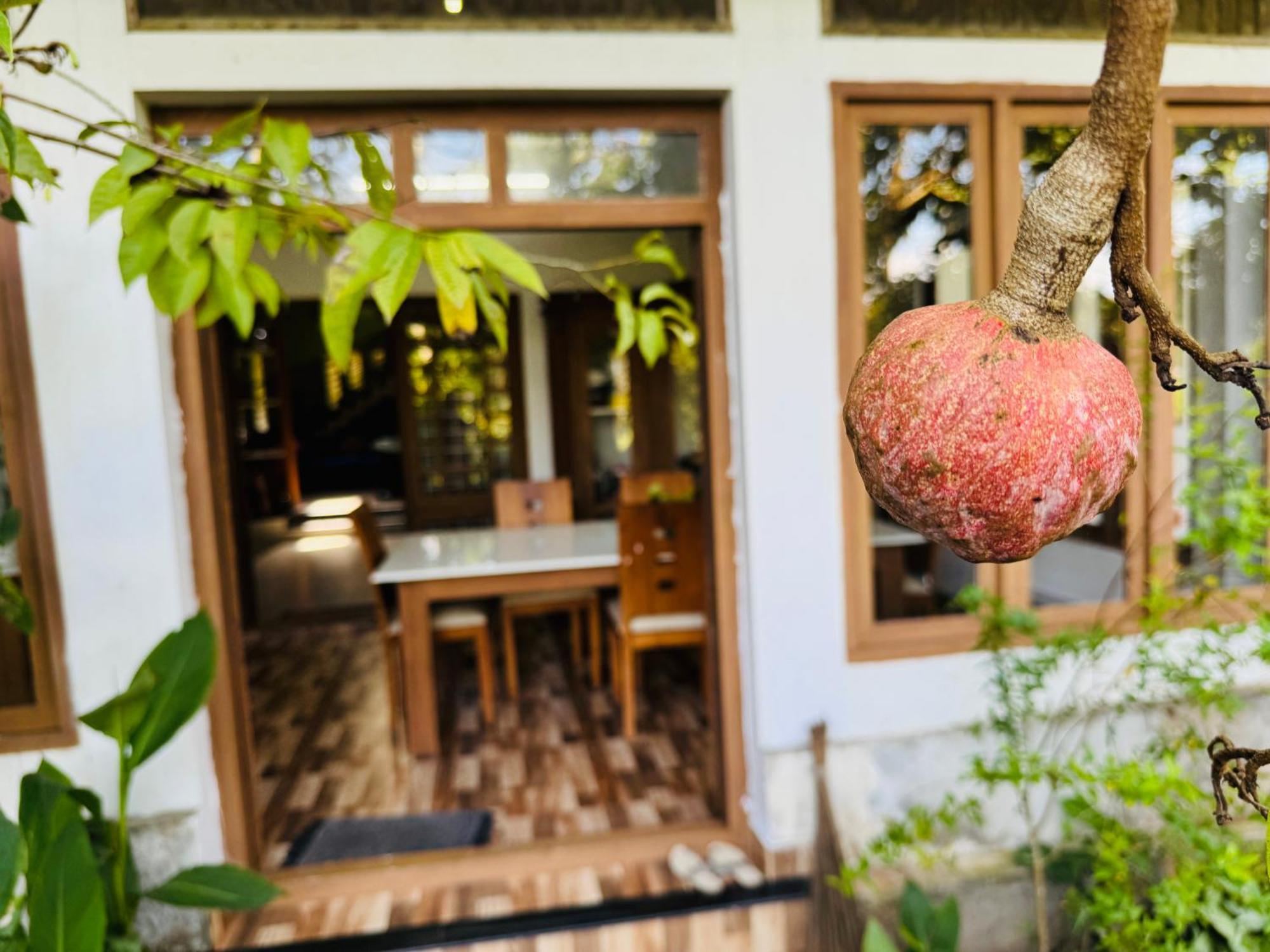 Thottungal Homestay Nedumbassery Exteriör bild