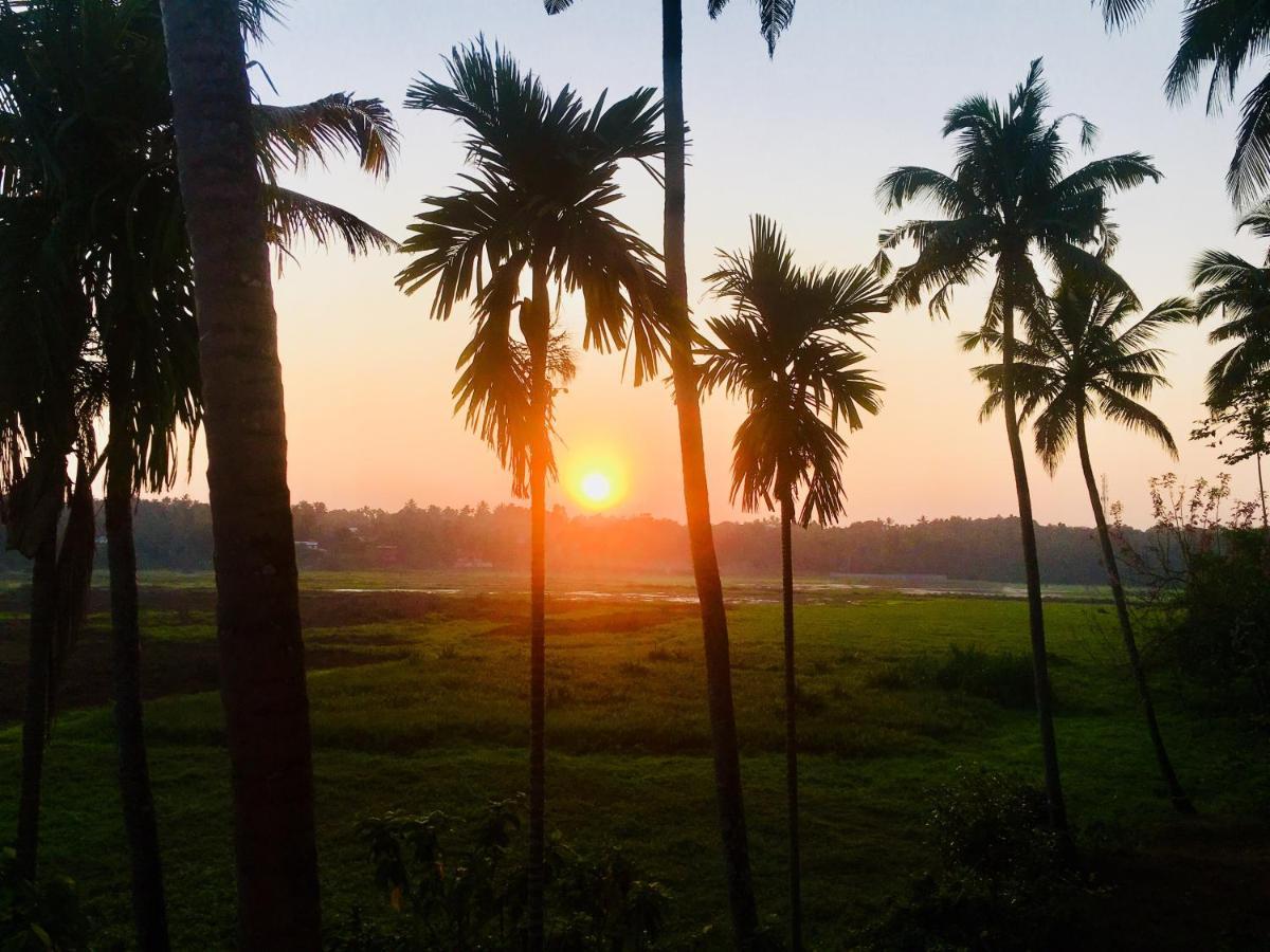 Thottungal Homestay Nedumbassery Exteriör bild